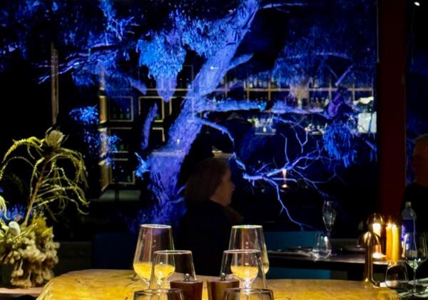 Night time dining in the cellar door